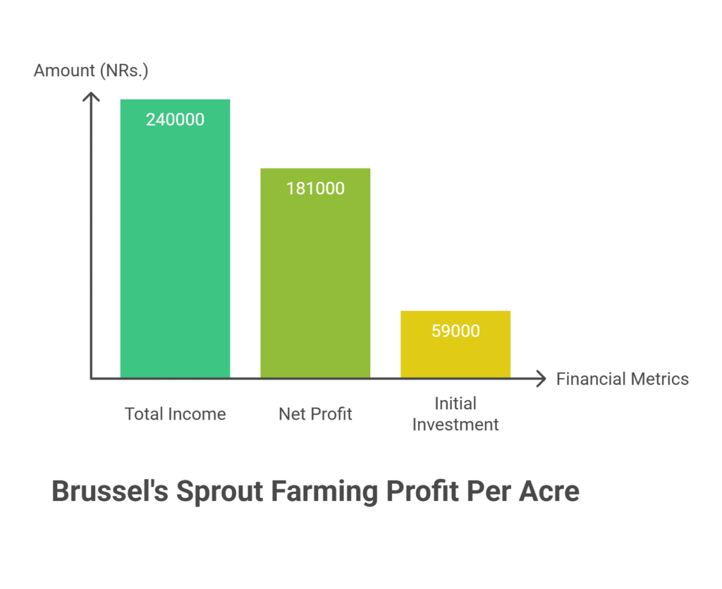 Brussels Sprout Farming Profit Per Acre