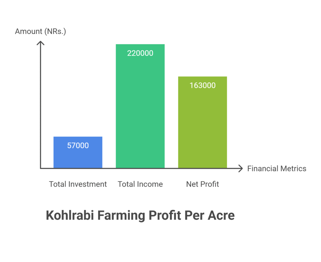 Kohlrabi Farming Profit Per Acre