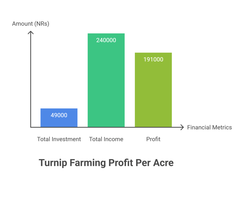 Turnip Farming Profit Per Acre
