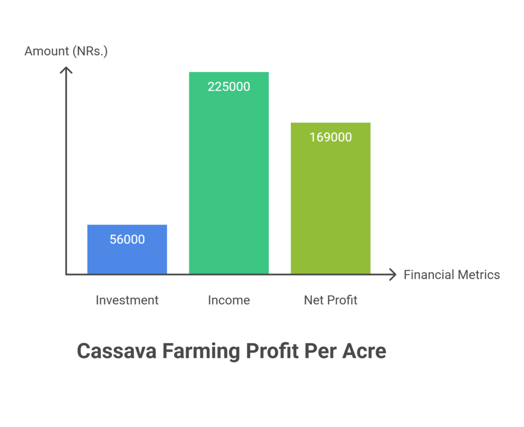 Cassava Farming Profit Per Acre