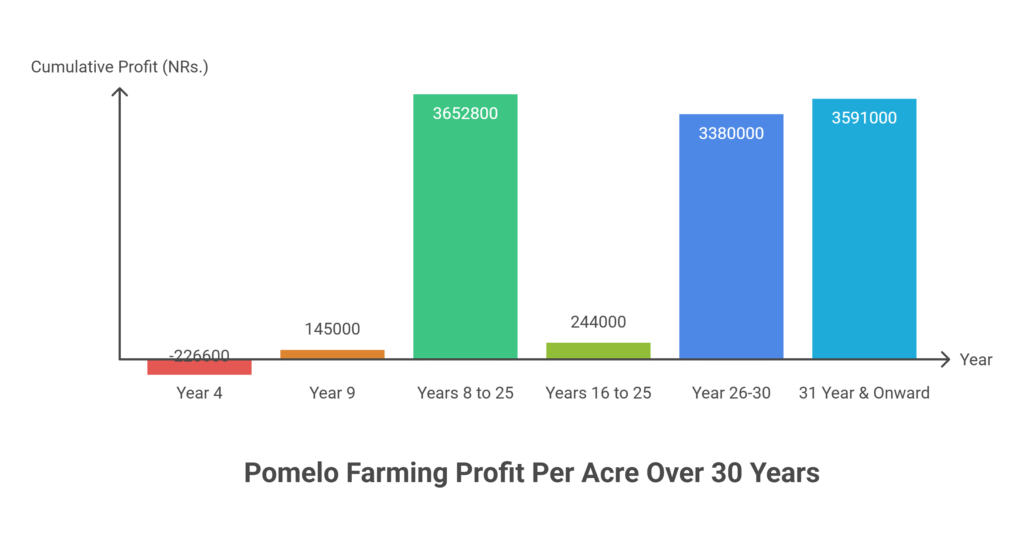 Pomelo farming Profit Per Acre