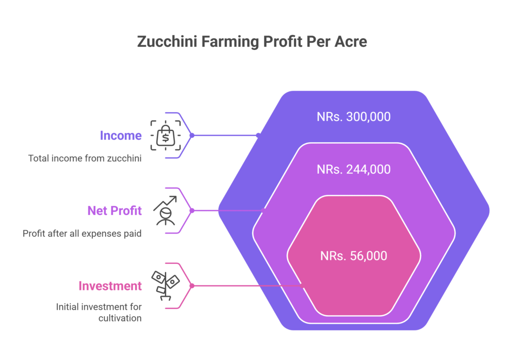 Zucchini Farming Profit Per Acre
