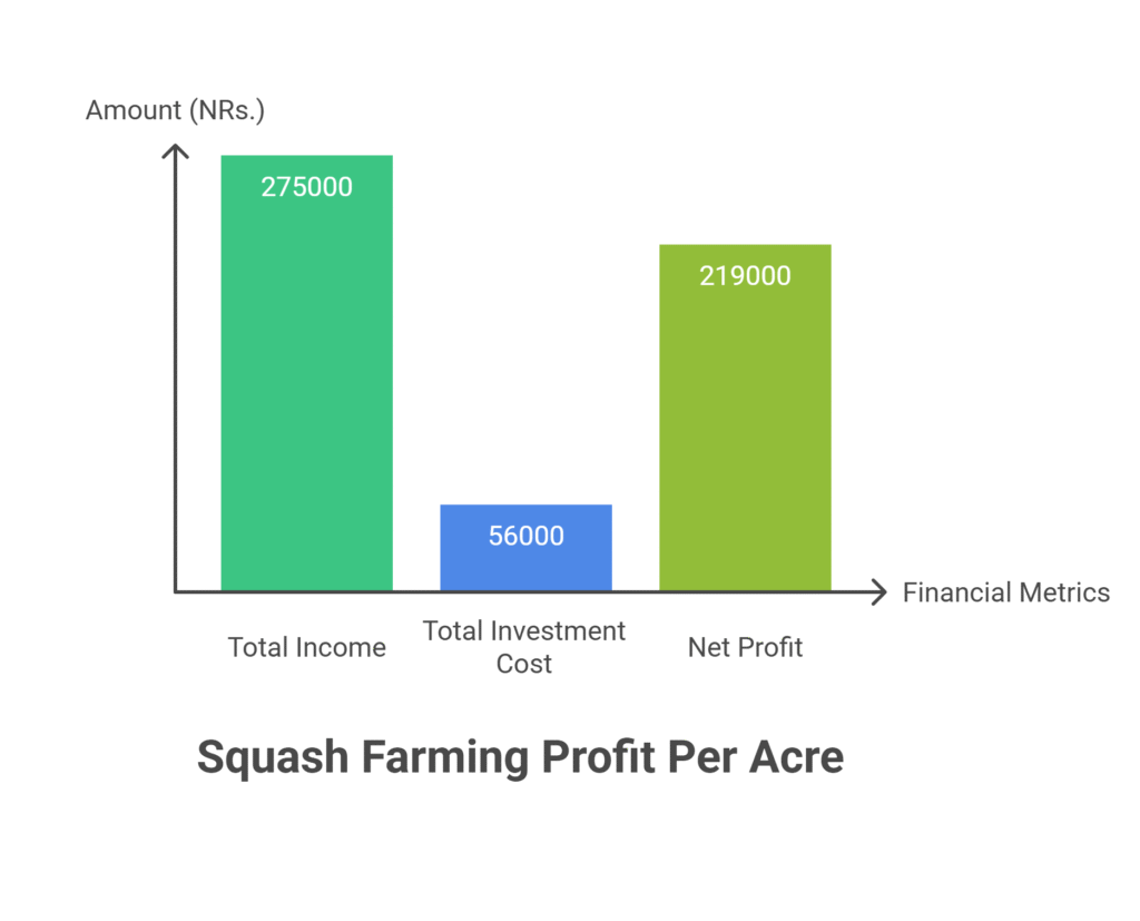 Squash Farming Profit Per Acre