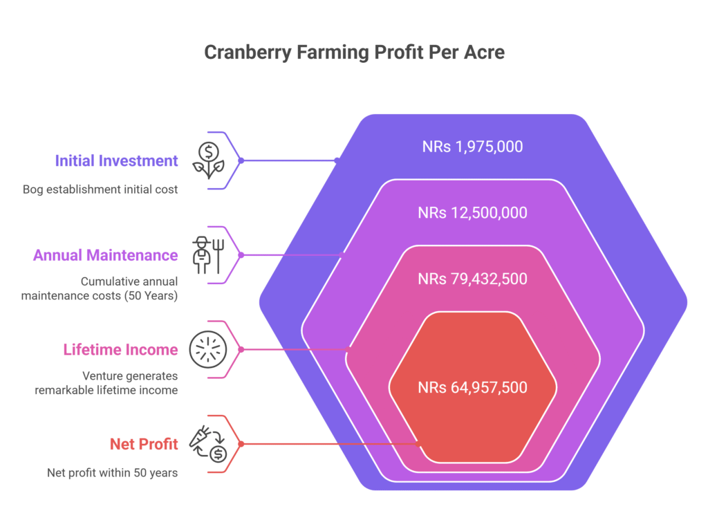 Cranberry Farming Profit Per Acre