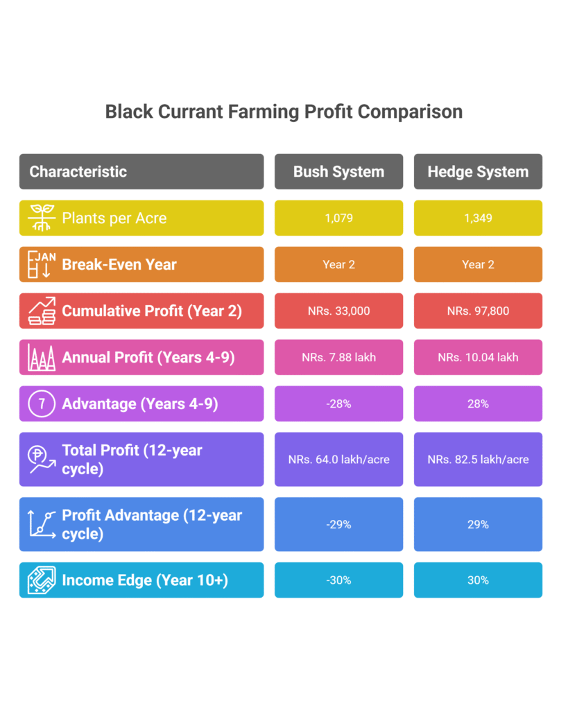 Black Currant Farming Profit Per Acre