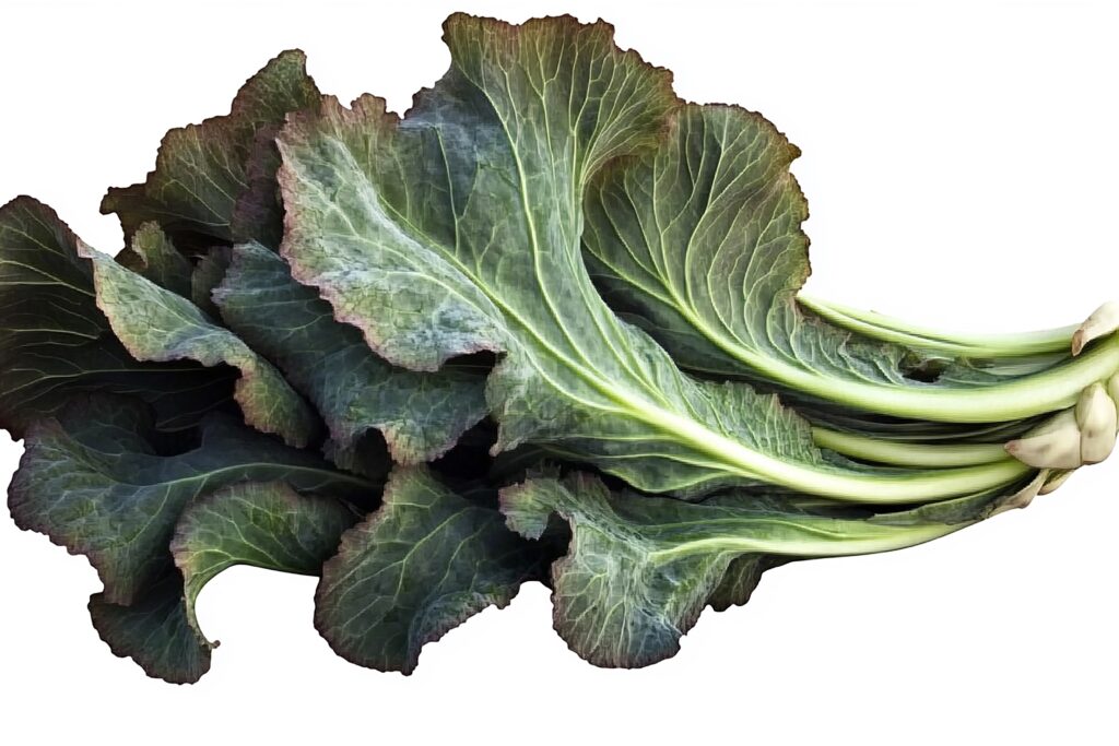 Collard Green Farming Profit Per Acre 