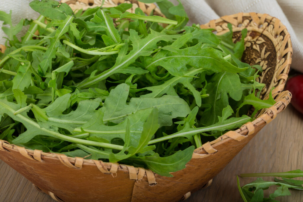 Arugula Farming Profit Per Acre 