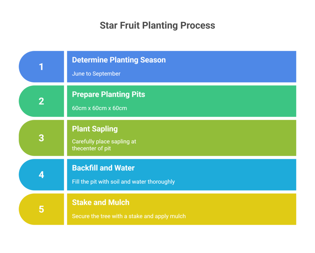 Star Fruit Farming Profit Per Acre (Carambola)