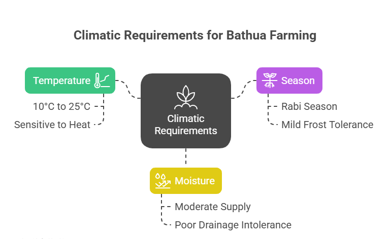 Bathua Farming Profit per Acre