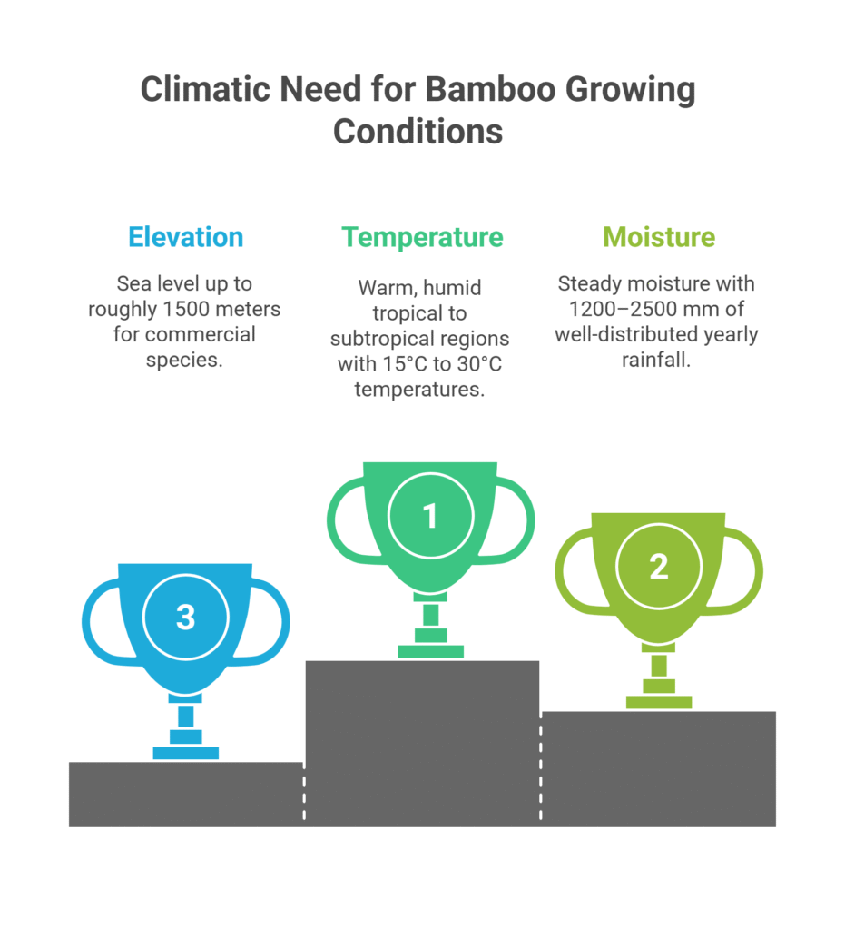 Bamboo Shoot Farming Profit Per Acre