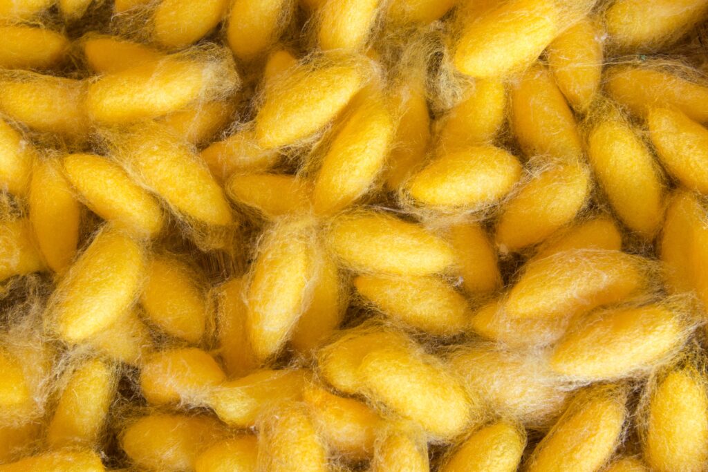 Sericulture Farming Profit per Acre
