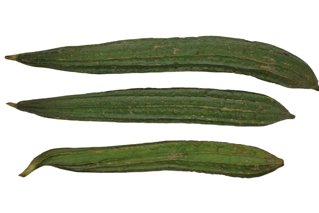 Ridge Gourd Farming Profit Per Acre