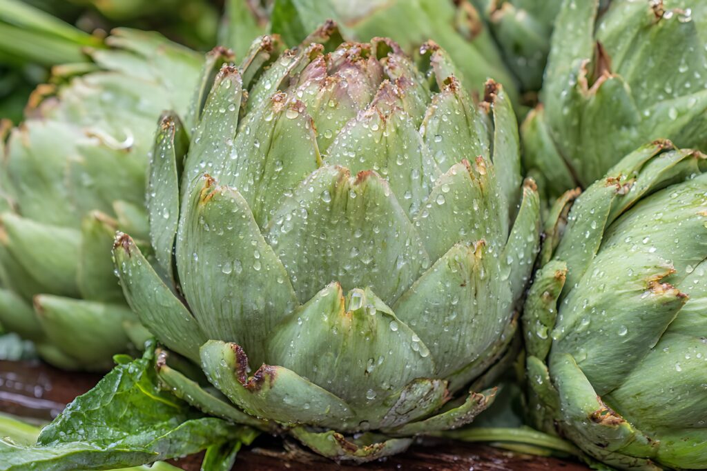 Artichoke Farming Profit Per Acre