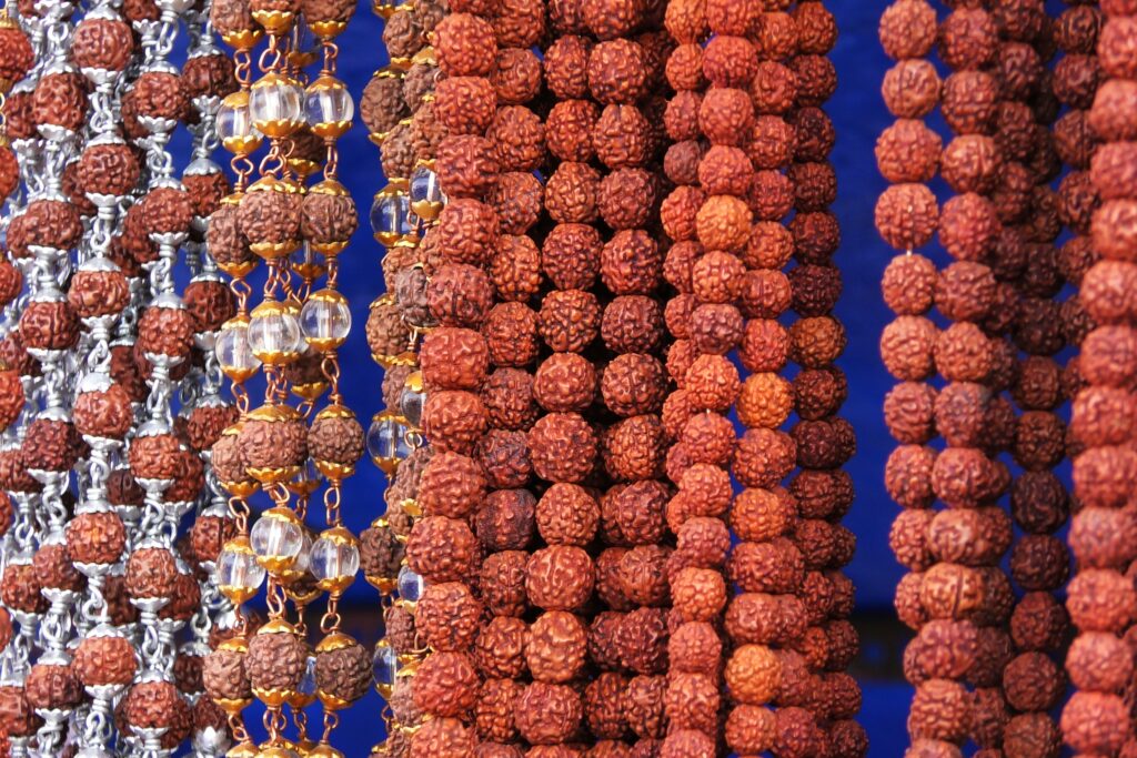 Rudraksha Farming Profit Per Acre