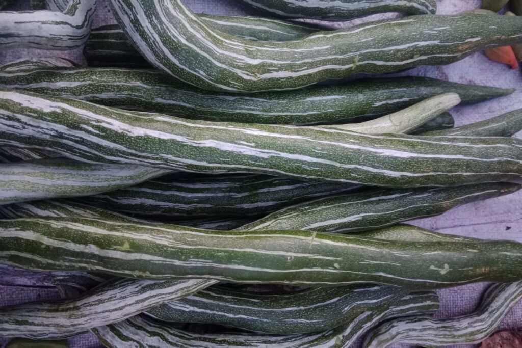 Snake Gourd Farming Profit Per Acre