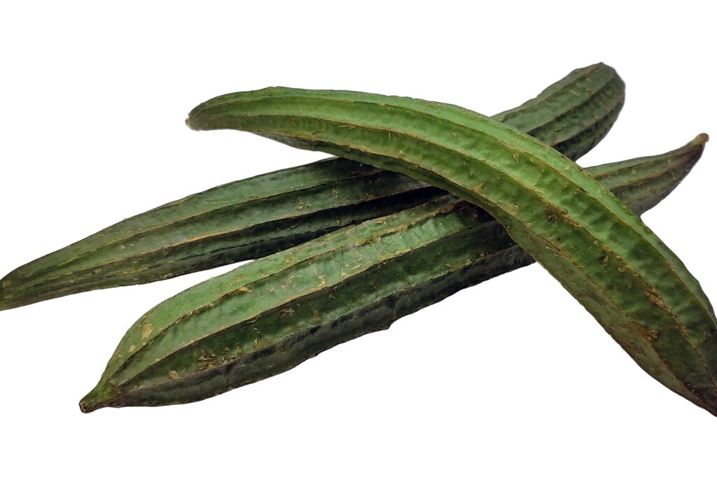 Ridge Gourd Farming Profit Per Acre
