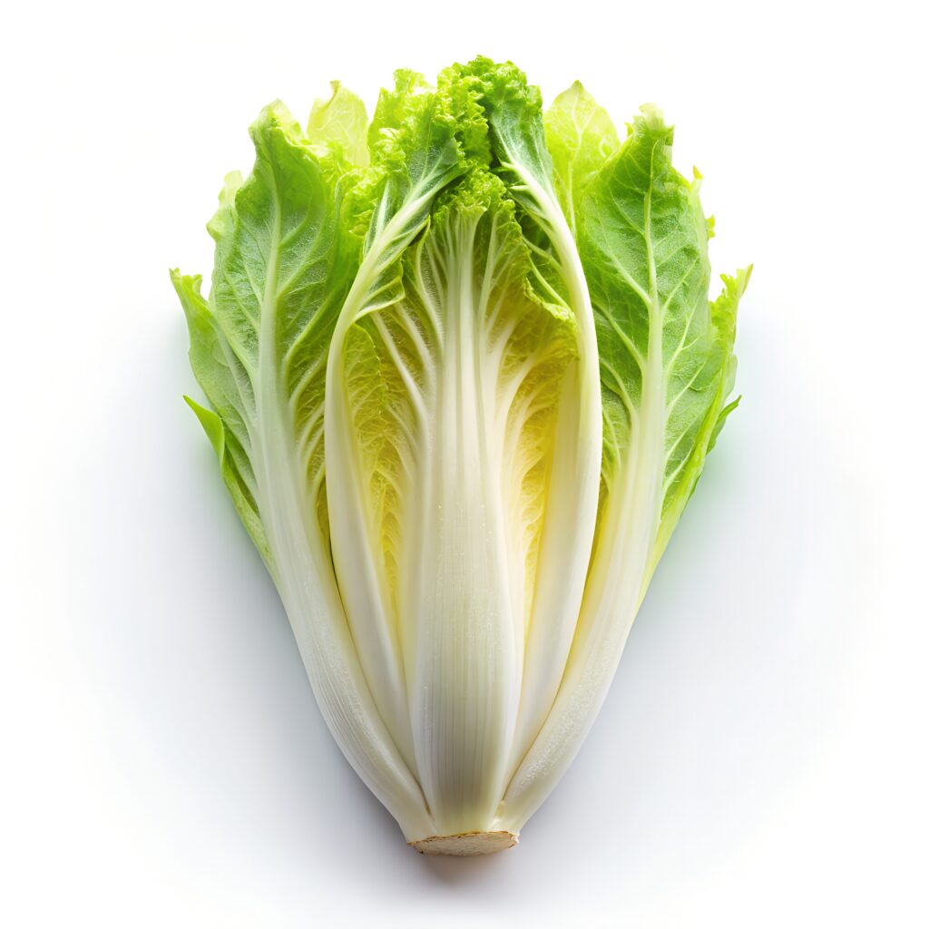 Endive Farming Profit Per Acre