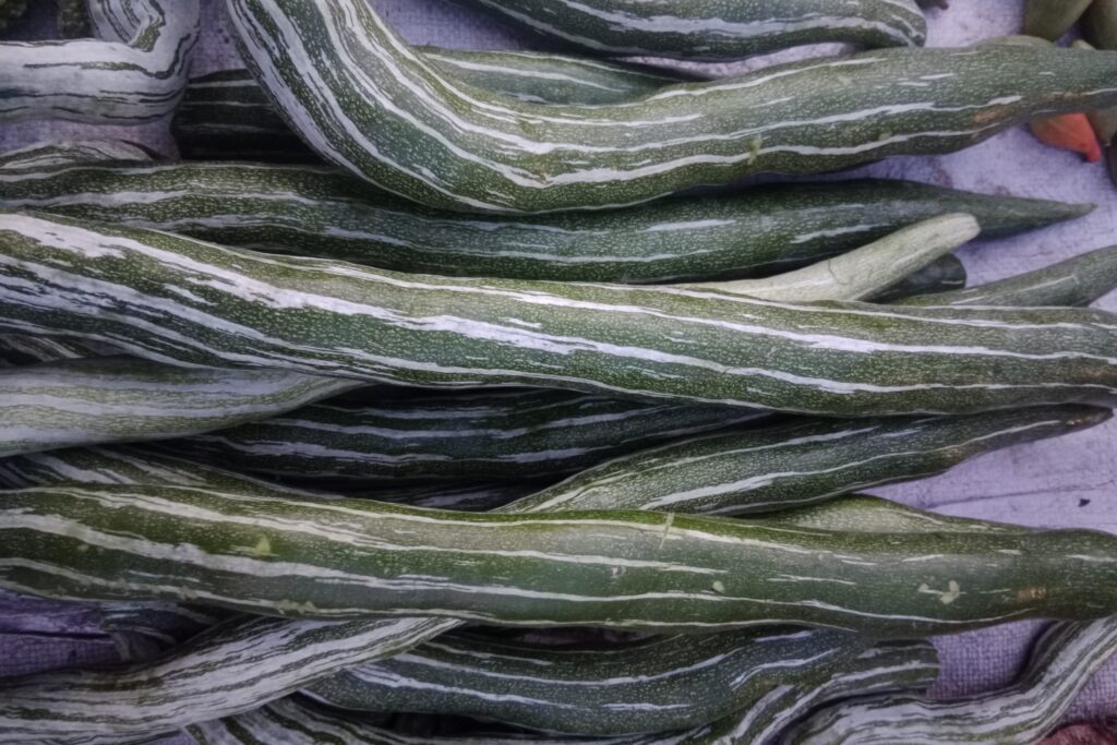 Snake Gourd Farming Profit Per Acre