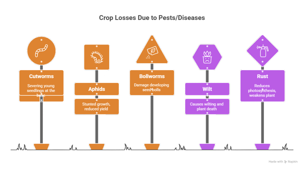 Flax Seed Farming Profit Per Acre