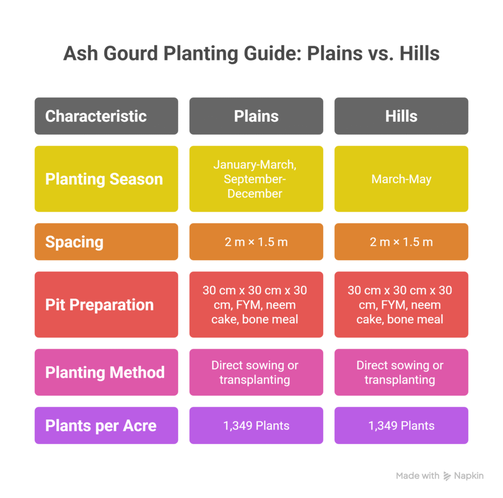 Ash Gourd Farming Profit Per Acre