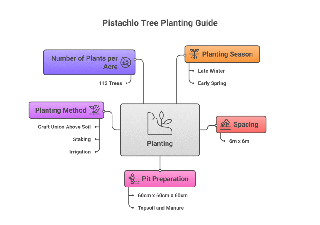 Pistachio Nut Farming Profit Per Acre