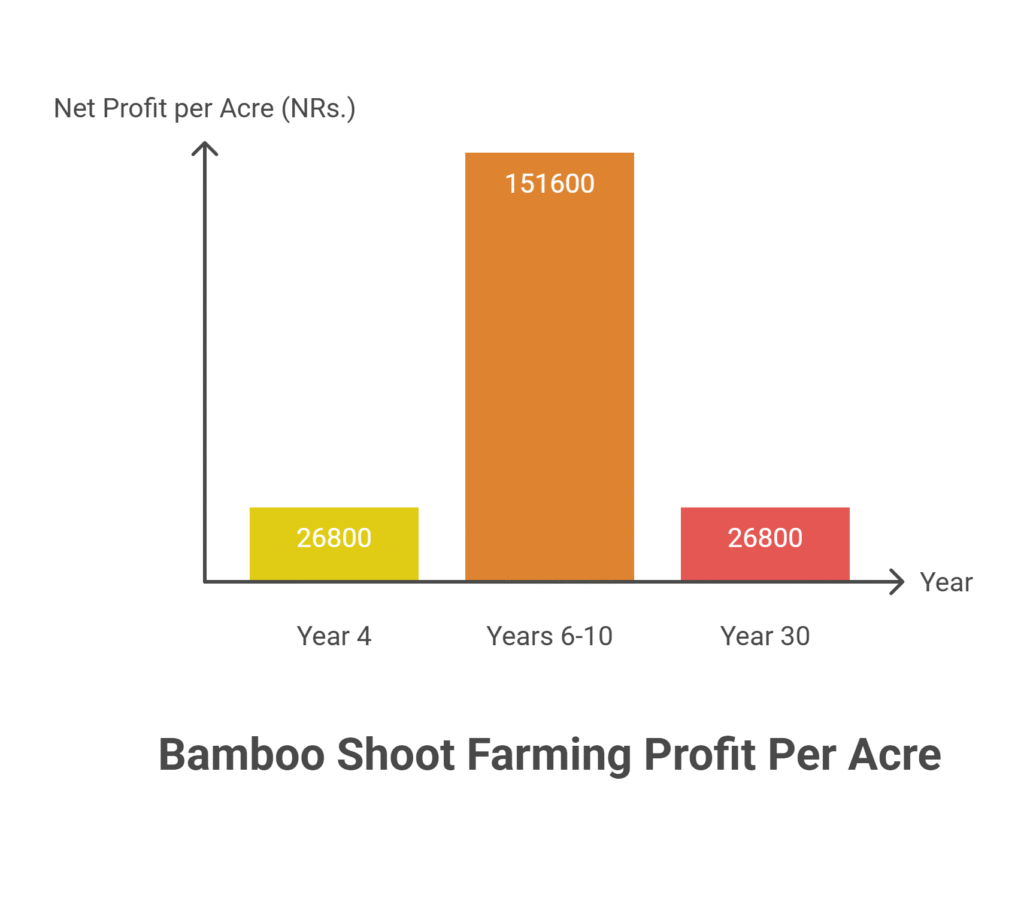 Bamboo Shoot Farming Profit Per Acre