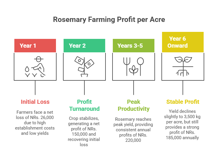 Rosemary Farming Profit Per Acre