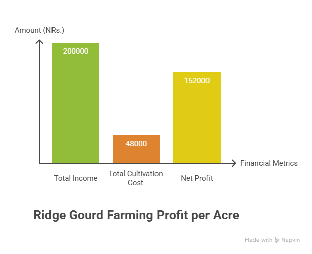 Ridge Gourd Farming Profit Per Acre