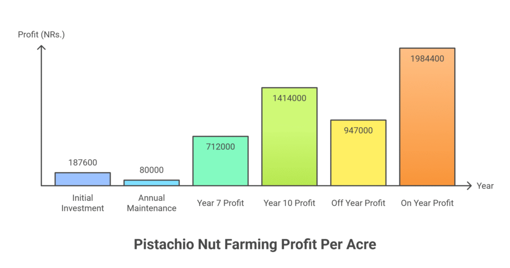 Pistachio Nut Farming Profit Per Acre