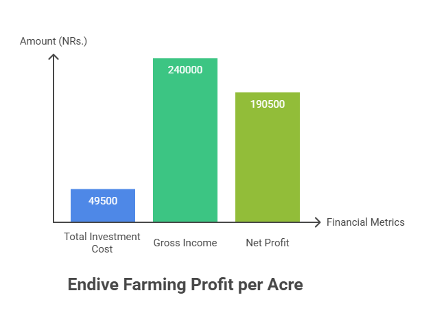 Endive Farming Profit Per Acre