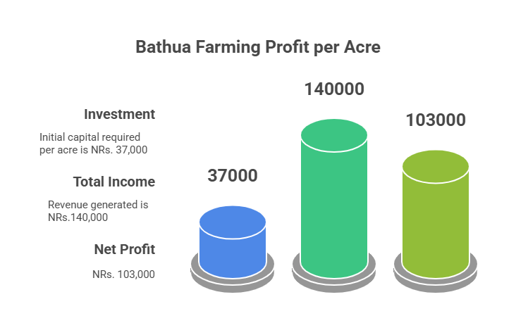Bathua Farming Profit per Acre
