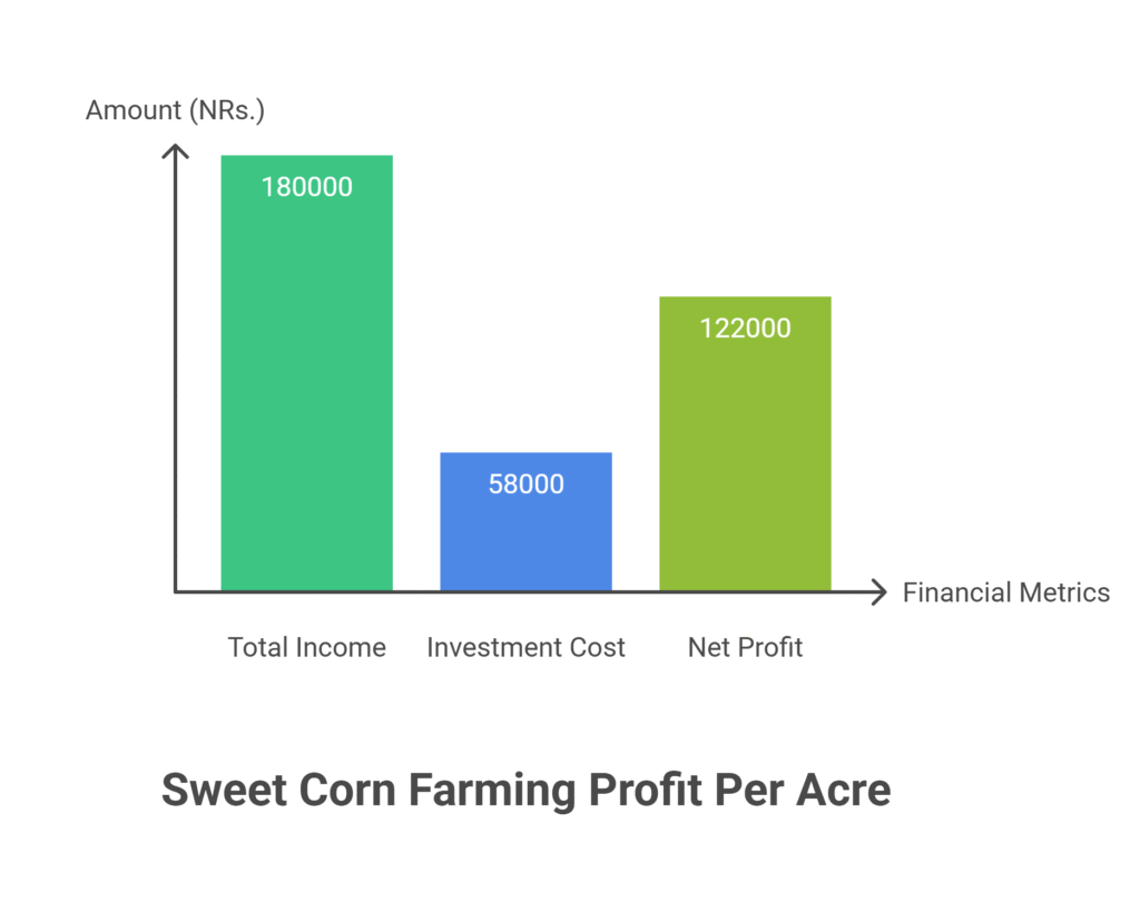 Sweet Corn Farming Profit Per Acre