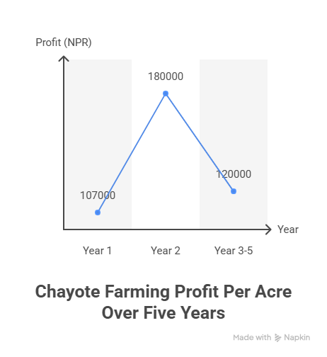 Chayote Farming Profit Per Acre