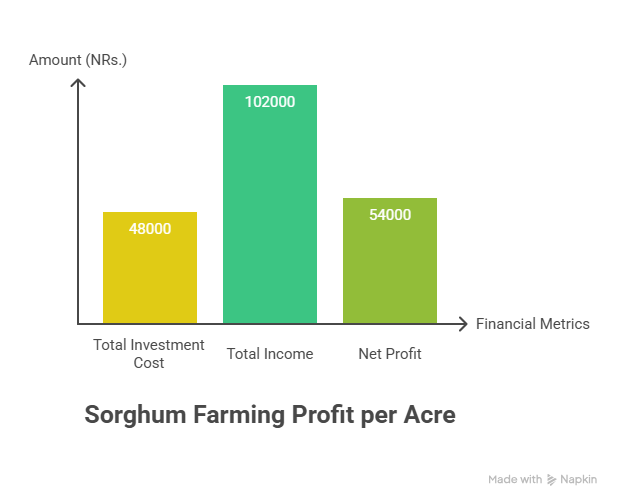 Sorghum Farming Profit Per Acre