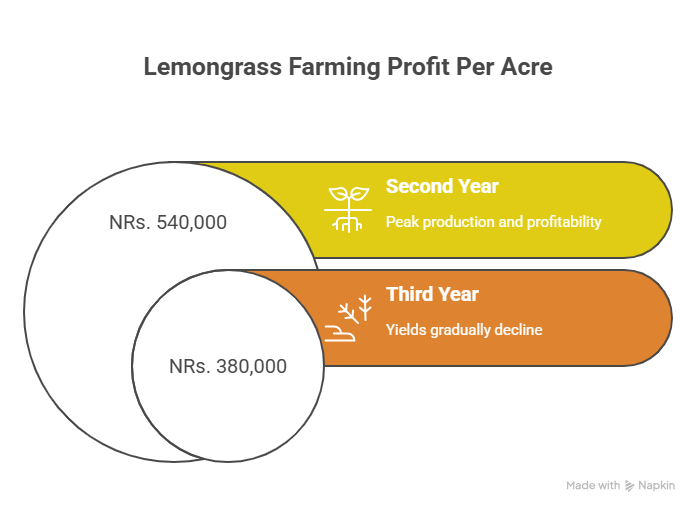 Lemongrass Farming Profit Per Acre