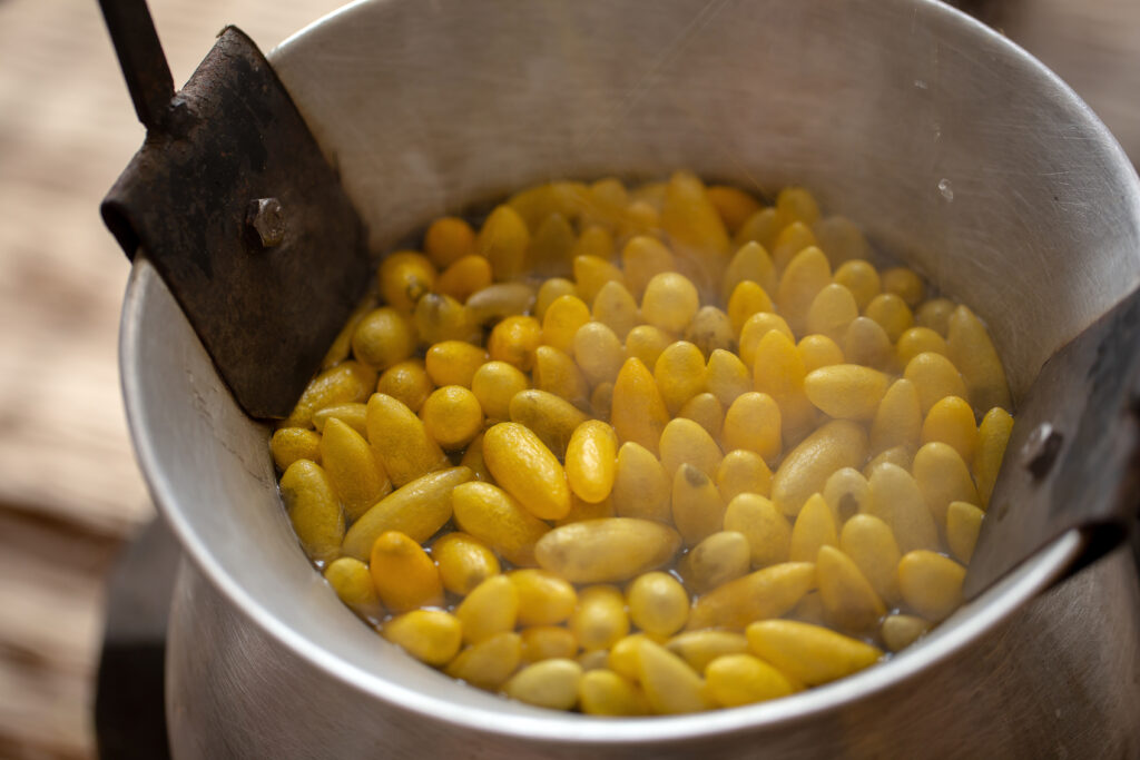 Sericulture Farming Profit per Acre