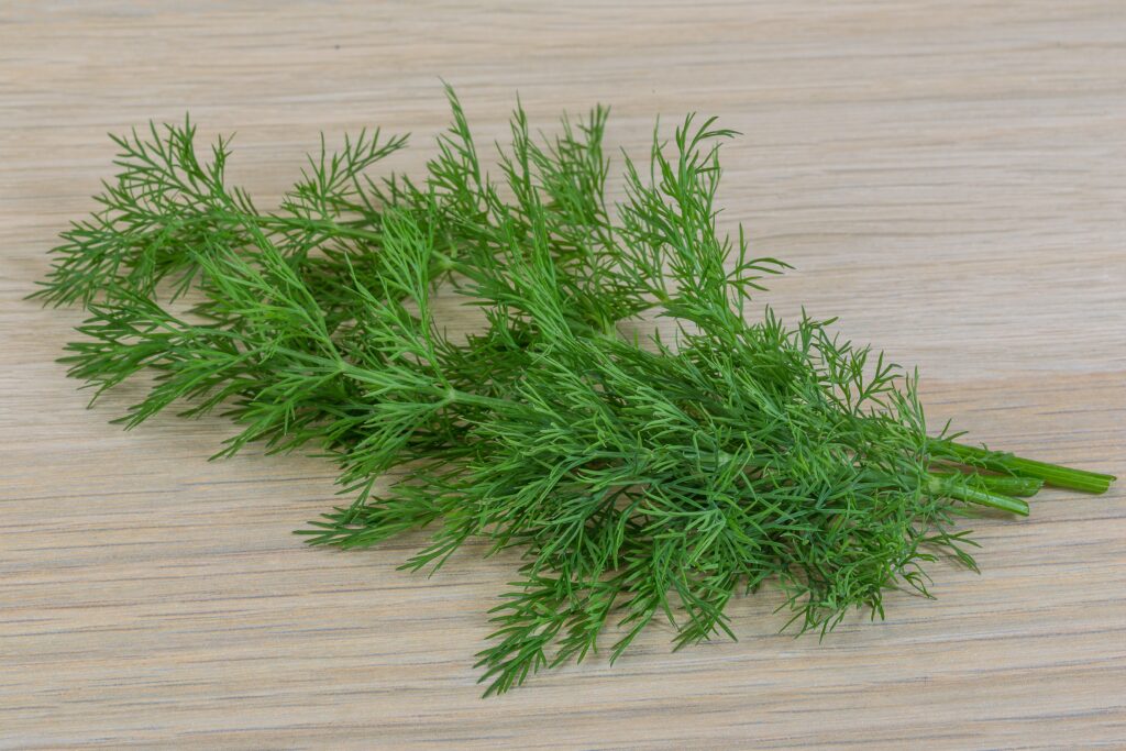 Dill Leaf Farming Profit Per Acre