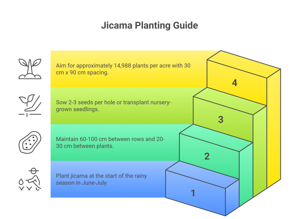  Jicama Farming Profit Per Acre