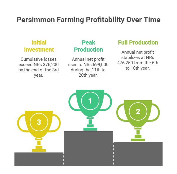 Persimmon Farming Profit Per Acre