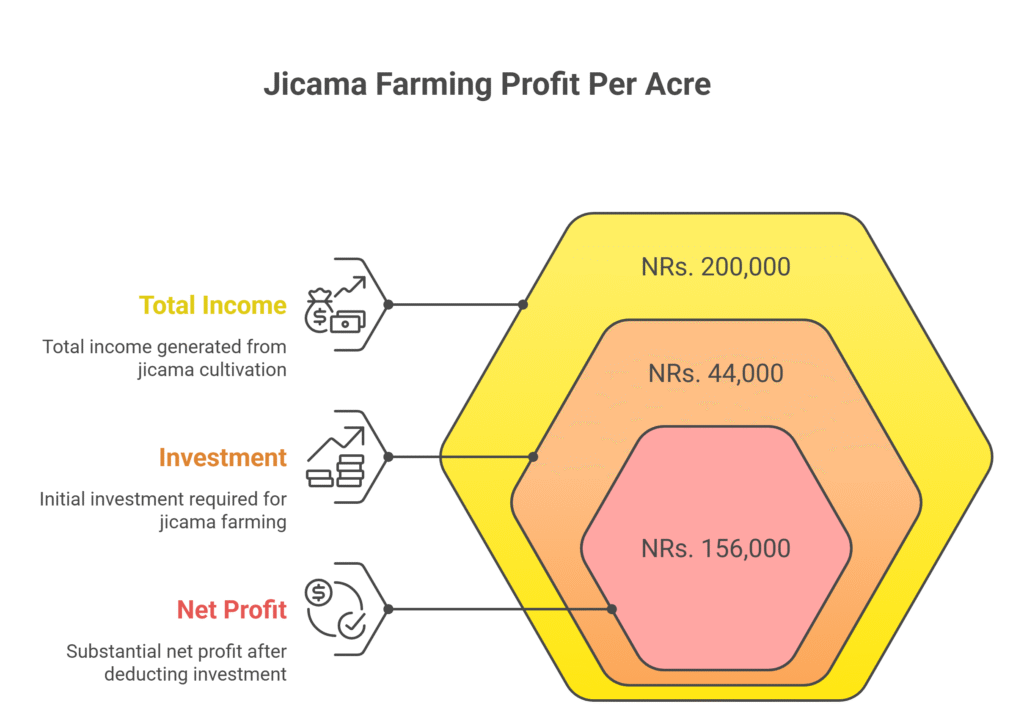  Jicama Farming Profit Per Acre