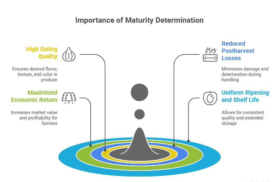 Maturity Determination and Harvesting Methods