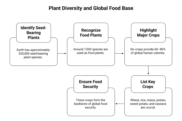 Plant Breeding & Center of Domestication
