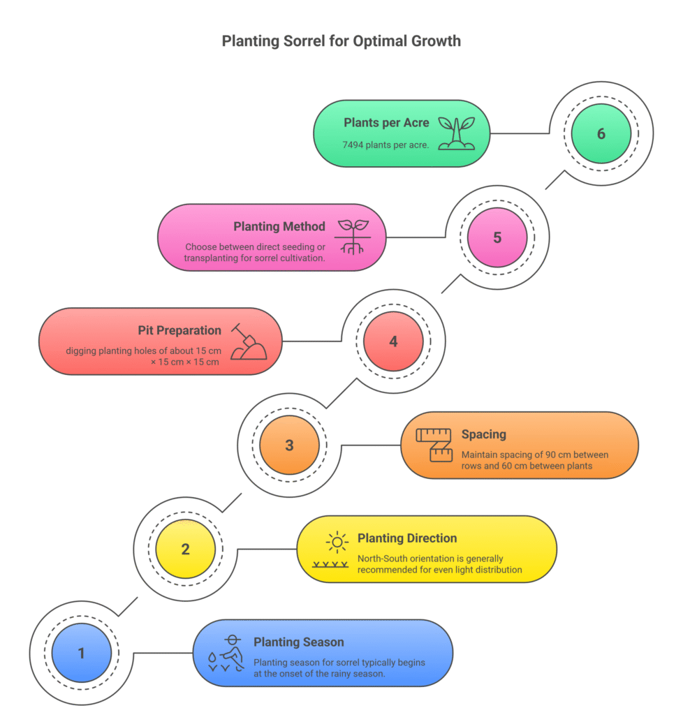 Sorrel Farming Profit Per Acre