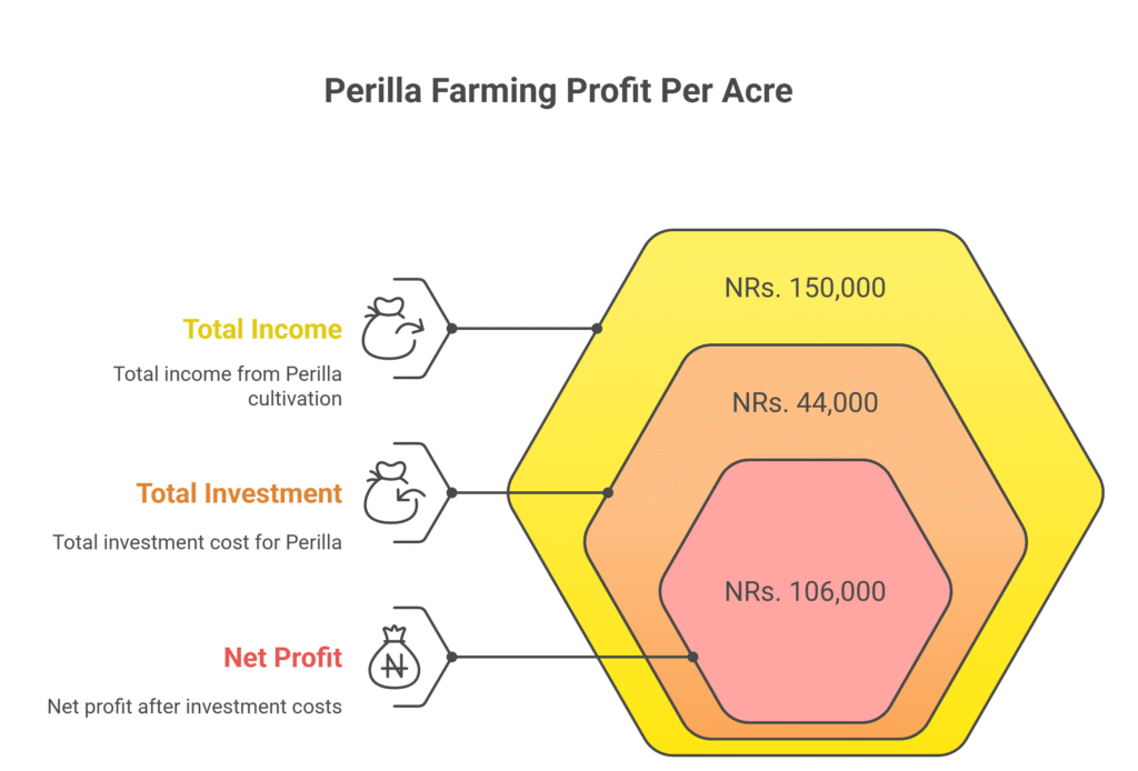 Perilla Farming Profit Per Acre