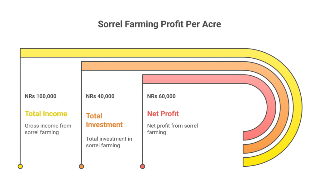 Sorrel Farming Profit Per Acre