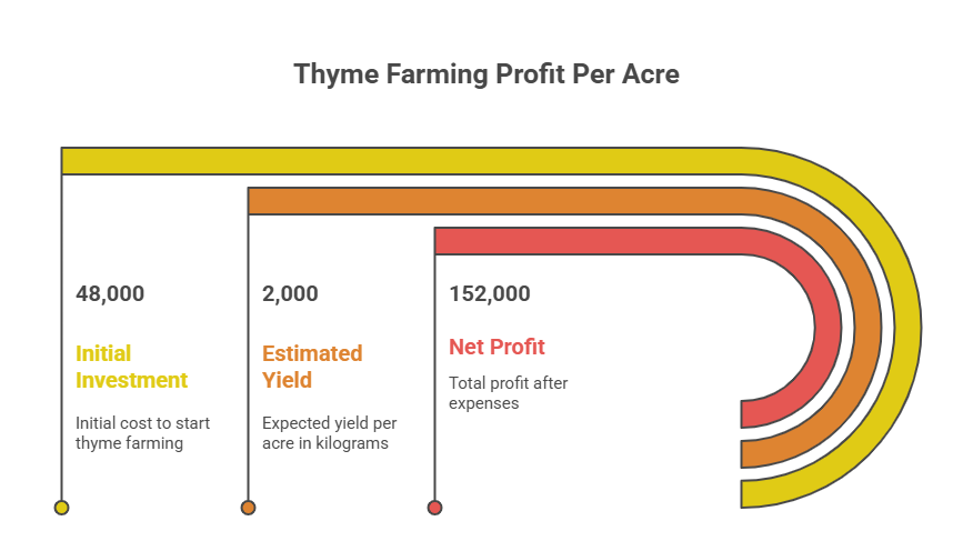 Thyme Farming Profit Per Acre