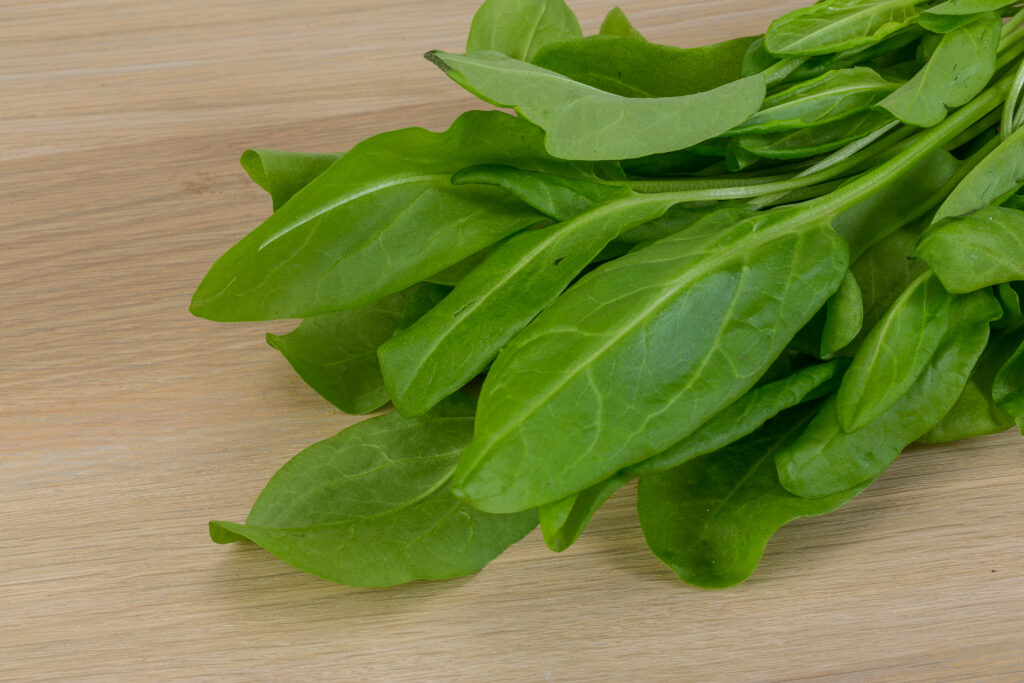 Sorrel Farming Profit Per Acre