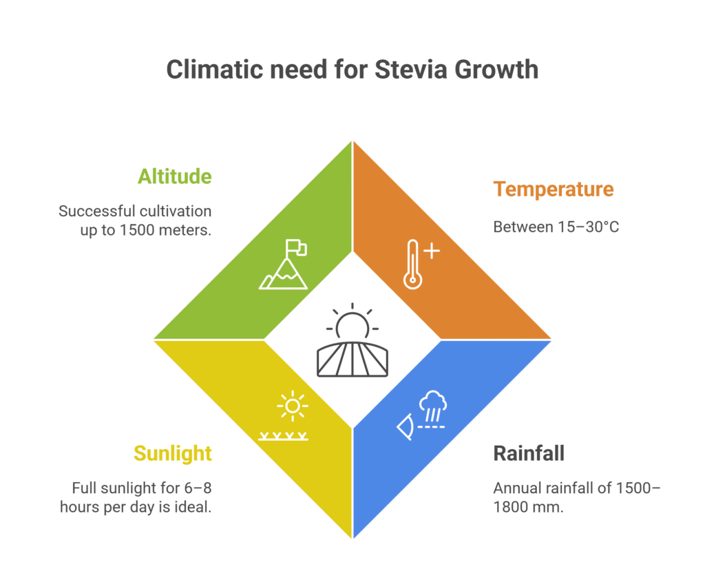 Stevia Farming Profit Per Acre
