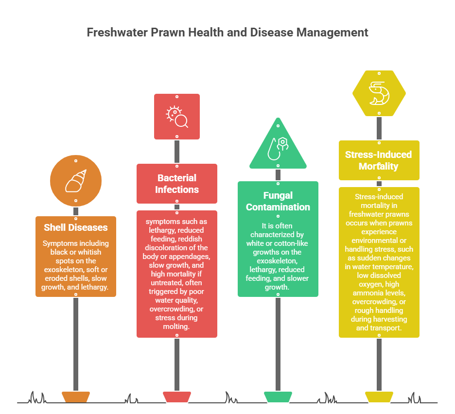 Freshwater Prawn Farming Profit per Acre