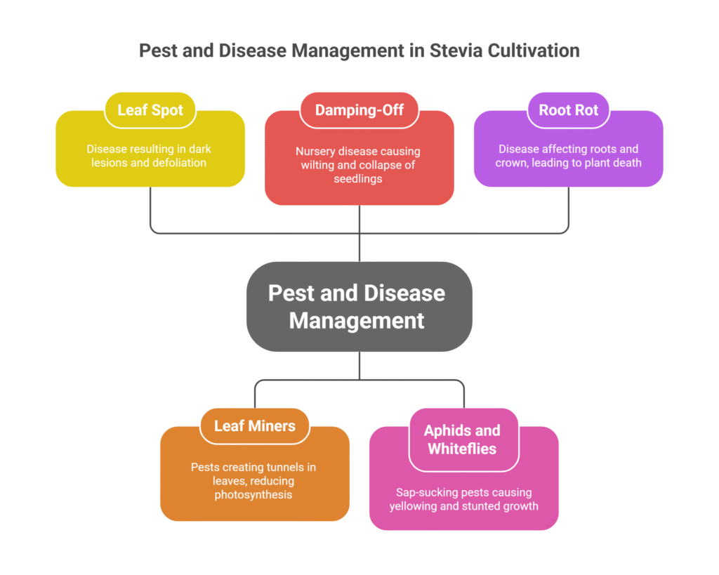Stevia Farming Profit Per Acre